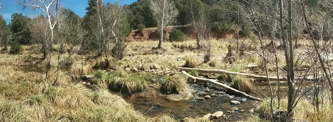"East Verde River, AZ"