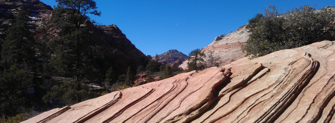 "Zion National Park, UT"